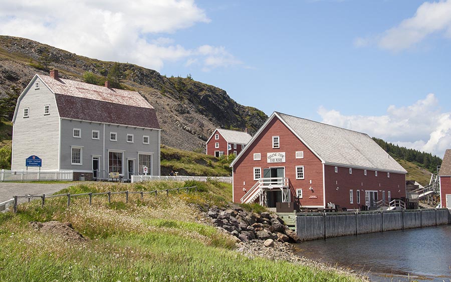 Barns in Trinity